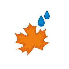 vector icon of maple leaf with rain drops with paper cut effect