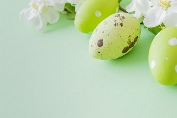 Composition with white spring flowers and easter eggs on a green background
