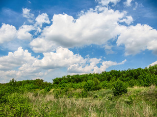 Obraz premium Green forest, blue sky with white clouds