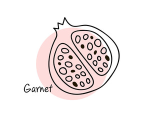 Pomegranate fruit. Line art graphic. Restaurant template. Graphic illustration.