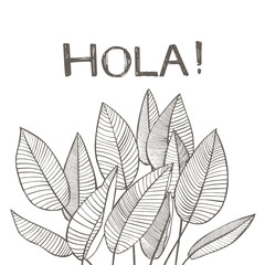 Tropical palm leaves. Graphic illustration. Engraved jungle leaves. Lettering phrase - Hola.