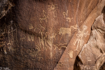 Petroglyphs in Newspaper rock