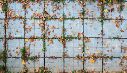 Tiles with leaves