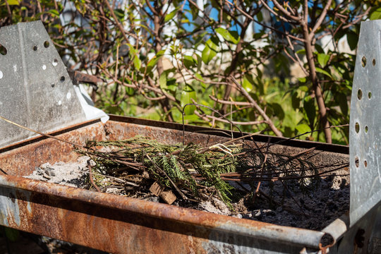 Preparing for a barbecue