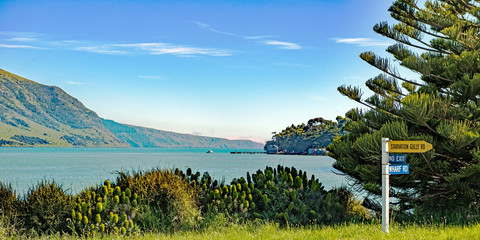 View of Pigeon Bay in the scenic Banks Peninsula, South Island, New Zealand - 253144607