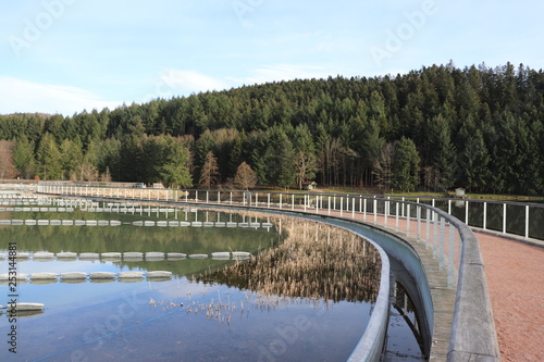 Piscine Ecologique Et Biologique Du Lac Des Sapins Cublize Rhone