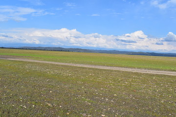 Pong Dam Lake Wildlife Sanctuary Himachal Pradesh 