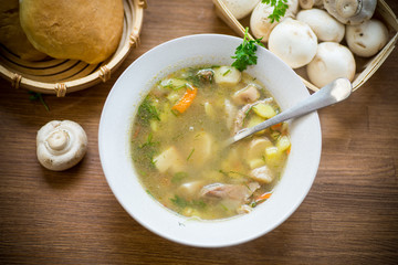 homemade rural soup with vegetables and mushrooms in a bowl