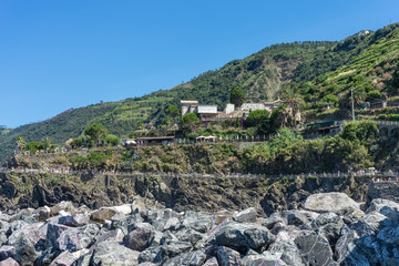 Naklejka premium Italy,Cinque Terre,Riomaggiore, a rocky mountain with trees in the background