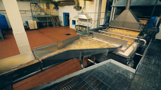 Process of potato crisps frying on a modern conveyor in a food production facility.