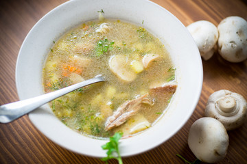 homemade rural soup with vegetables and mushrooms in a bowl