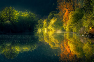 The spring colours of yellow, brown and green  reflecting on the river Neckar in Germany  - obrazy, fototapety, plakaty