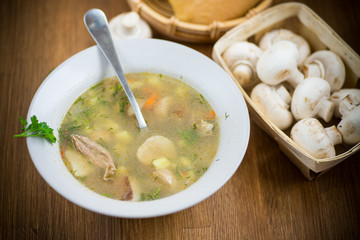 homemade rural soup with vegetables and mushrooms in a bowl