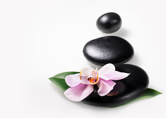 Spa still life isolated on white. Black stones with orchid flower and leaf.