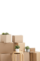 Moving to a new home. Belongings in cardboard boxes, books and green plants in pots stand on the...