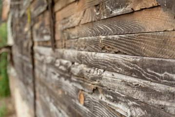 Wood Wall