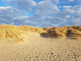 winter sunny beach france