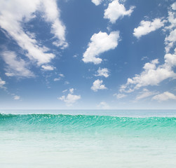 Fototapeta na wymiar Summer tropical sea and blue sky
