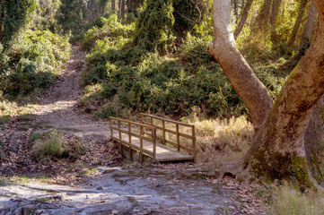 Bridge over a small river in the mountains