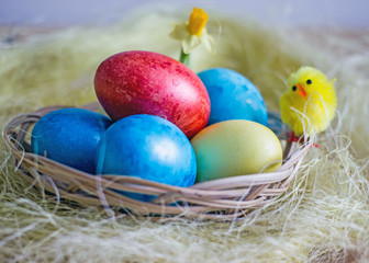 Easter card with Easter eggs of blue yellow and red in a wicker basket decorated with decorative yellow clinging. Congratulatory background with symbols of Easter