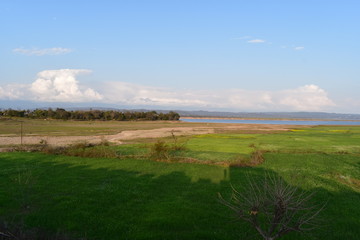 Pong Dam Lake Wildlife Sanctuary Himachal Pradesh 