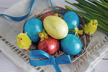 Easter colored eggs of yellow, blue and red in a wicker basket. Near fresh greens, yellow daffodil flowers and decorative little chickens. The composition is decorated with blue ribbons.