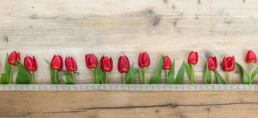 Frühlingsblumen vor Holzhintergrund © Evelyn Kobben