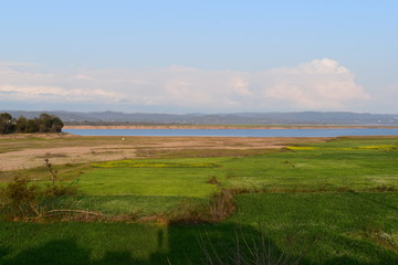 Pong Dam Lake Wildlife Sanctuary Himachal Pradesh 