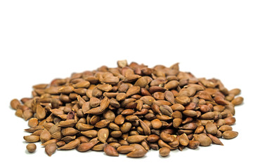 Apfelkerne isoliert vor weißem Hintergrund