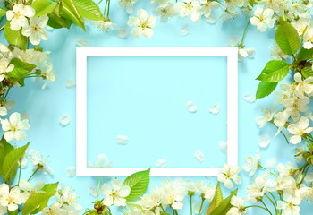 Beautiful spring nature background with lovely blossom, petal a on turquoise blue background , top...