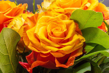 Fleurs
