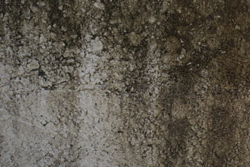 Weathered Wall 3