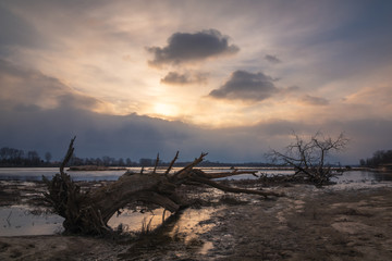 Fototapeta na wymiar Morning on the Vistula river near Konstancin-Jeziorna, Masovia, Poland