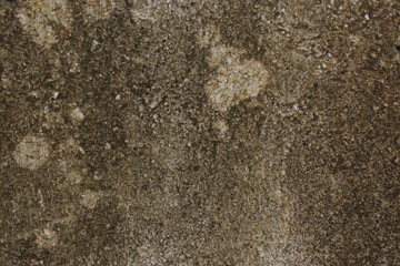 Weathered Wall 2