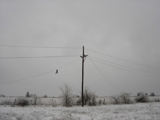 Ice Storm Power Outage