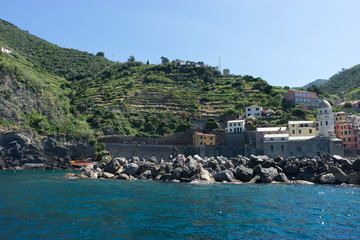 Obraz premium Italy,Cinque Terre, Vernazza, a large wineyard farm om the moutanin slope, terrace farming