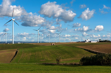Wind turbines in an eolic park