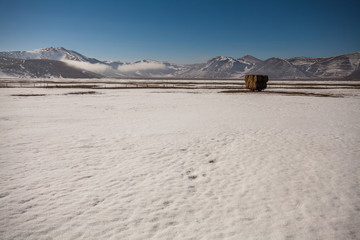 Some hay bales in the snow in Pian grande and Mount Vettore in the background, Castelluccio di Norcia, Umbria, Italy