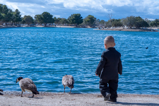 baby boy walking along a beach with ducks