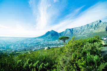 Table Mountain
