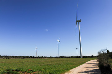 Fototapeta na wymiar Wind turbines in an eolic park