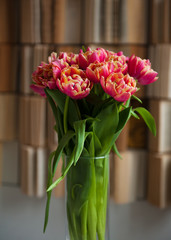 Pink spring tulip flowers bouquet in vase