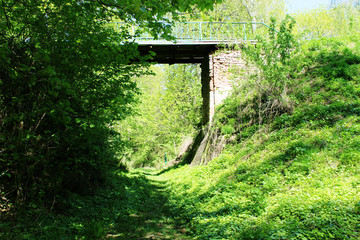 old stone bridge in a green summer forest