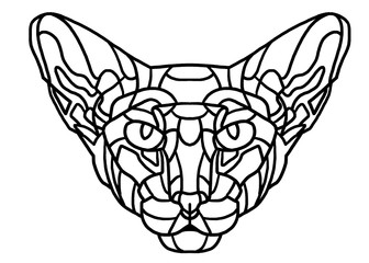 cat head isolated on white