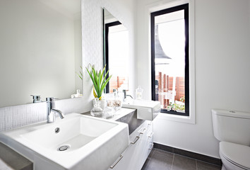 White washroom sink and mirror near a green plant
