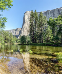 Fototapeta na wymiar Reflecting on El Capitan - The iconic granite rock monolith, El Capitan, is reflected upon the waters of the Merced River in Yosemite National Park, California, USA.
