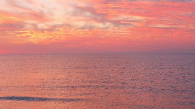 Beautiful pink sunset over the sea. Seagulls fly over the sea.