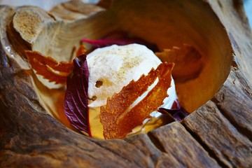 Gourmet dessert dish of ice-cream with a tuile cookie shaped as a leaf served in a wood bowl