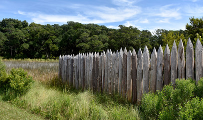  Wooden Fence