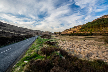 The Cooley Mountains